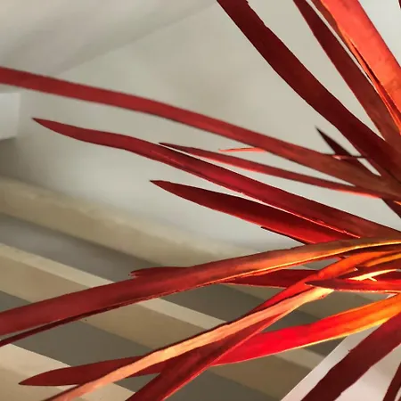 Botanic Views Pensión 3*