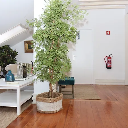 Botanic Views Lisboa