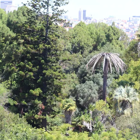 Botanic Views 3* Lissabon