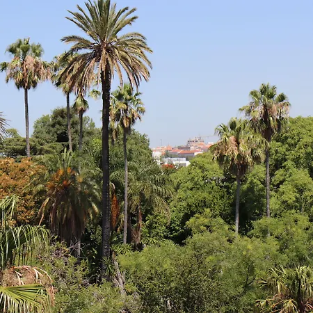 Botanic Views بيت ضيافة 3*